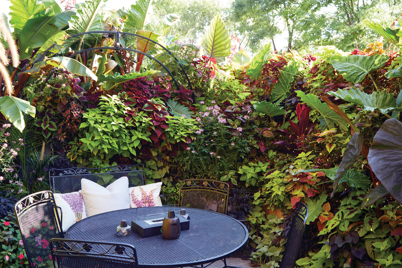 GG187 FG Seating surrounded by foliage: At the back of the yard, behind the large container, is this private spot where Deronis can sit, relax and think about the garden without interruption. Shades of red, orange and chartreuse provide a sense of warmth in this part-shade spot.