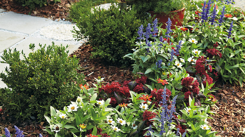 Small Space Patio Border Garden Gate