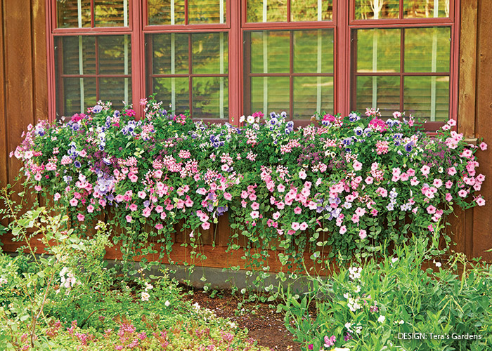 Hayrack planter with summer flowers by Tera's Garden: Two 55-inch-long hayrack planters sit side by side and hold about 50 plants each.