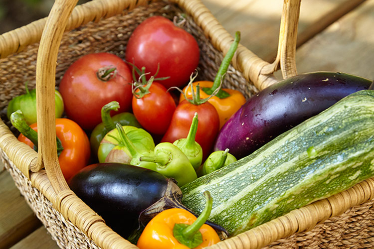 Basket of harvested vegetables: Teaching kids how to grow their own food is a good way to get them excited about vegetables.