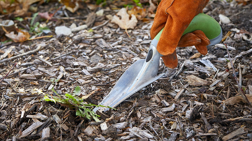 Peta Easi-Grip Cultivator :: arthritis hand tool for gardening
