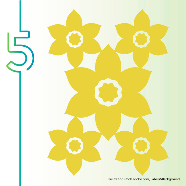Yellow Daffodil flower illustration: If flower bulbs are not blooming as much as they used to, they might be ready to divide.
