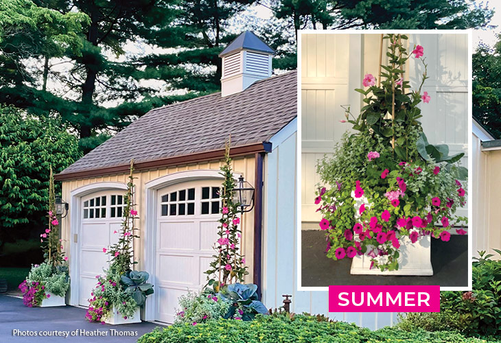 Heather Thomas multiseason container Summer planting with mandevilla: When Heather grows a vining mandevilla in her summer containers,  she adds a teepee of bamboo stakes for plants to climb.