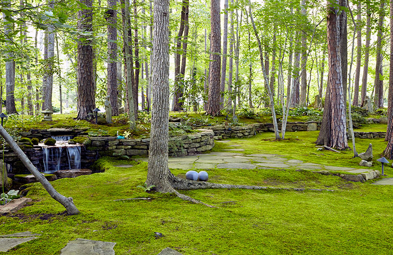 How to decorate with moss in your garden