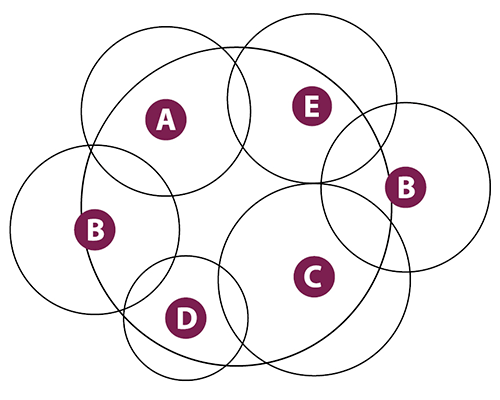 Hanging planter circle planting plan for coral bells design