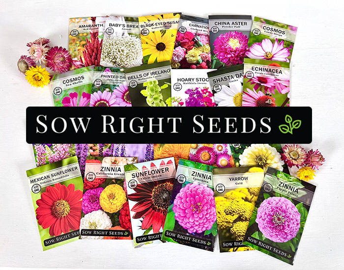 Sow Right seed packets: Flower Farm collection of garden seeds from Sow Right seeds.