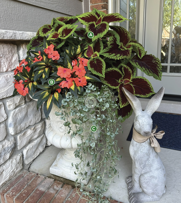 2026 container challenge honorable mention Marie Herbert