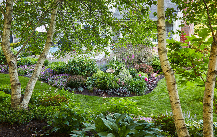 Ellie-Gilbert-hillside-garden-view