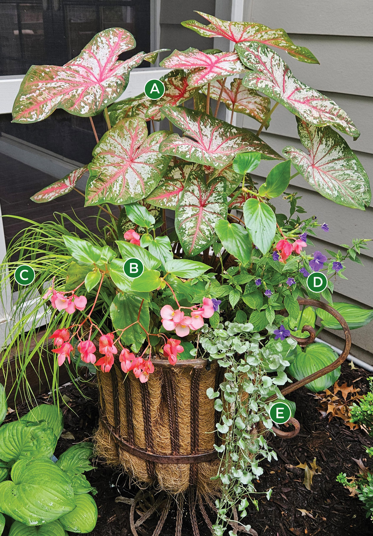 2026 container challenge honorable mention Heather Markway