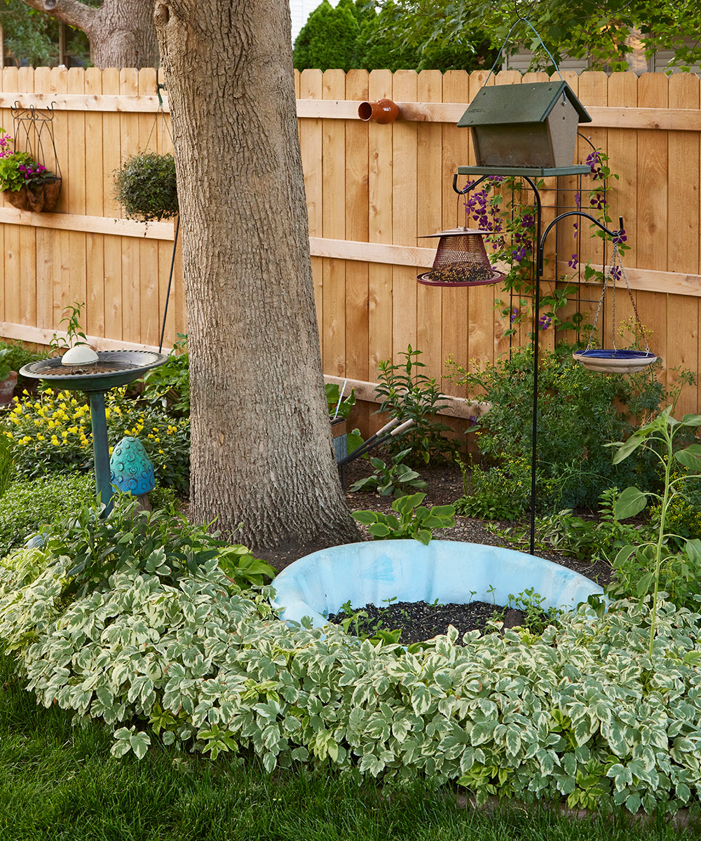 sylvia-street-kiddie-pool-bird-feeding-solution: Disguise a kiddie pool tucked into perennials under a bird feeder to avoid unwanted seedlings.