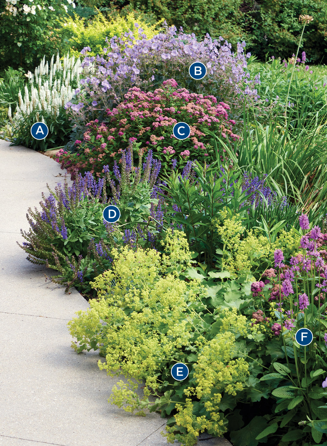 GG186 COMBOS labelled: Planting a mix of plants with bold blooms and handsome foliage keeps interest in this garden border throughout the season.
