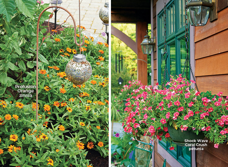 Profusion orange zinnias and Shock Wave petunia plantings: Bedding plants add long-lasting color. A prominent spot by the front door is the perfect spot for cheery Profusion zinnias. Petunias make showy hanging baskets Candy fills most of the pots on the deck and at the entry with plants she starts herself every spring, such as these petunias. 