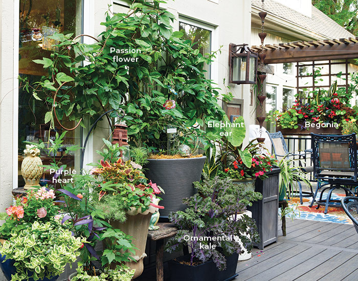 patio garden plants: The patio containers combine tropical plants, perennials, annuals and edibles. Bonnie’s favorite is the passion flower, which she overwinters indoors each year.