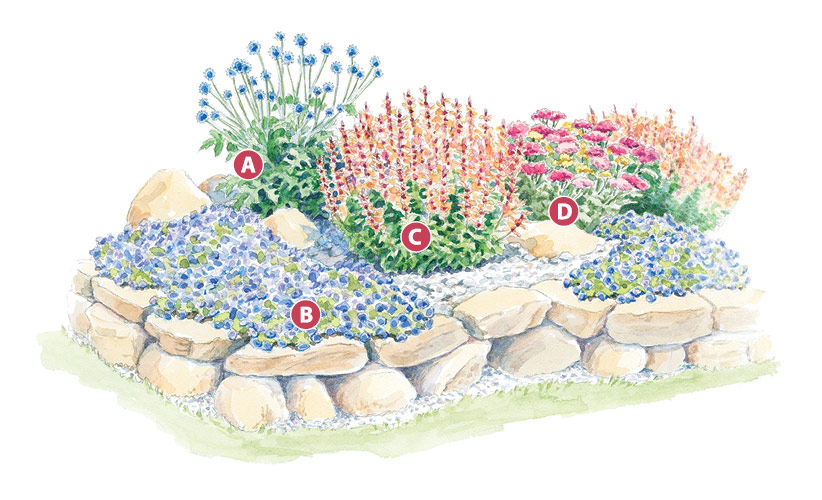 A Colorful Drought Tolerant Garden, How To Plan A Drought Resistant Garden
