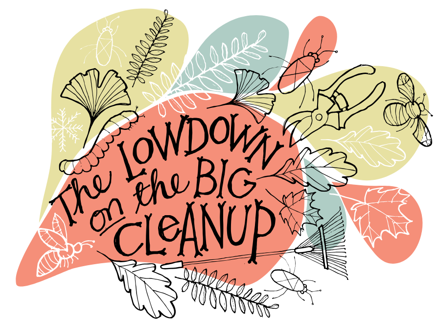 GG149 Lowdown big cleanup Lead Illustration by Lisa Nunamaker: Illustration by Lisa Nunamaker