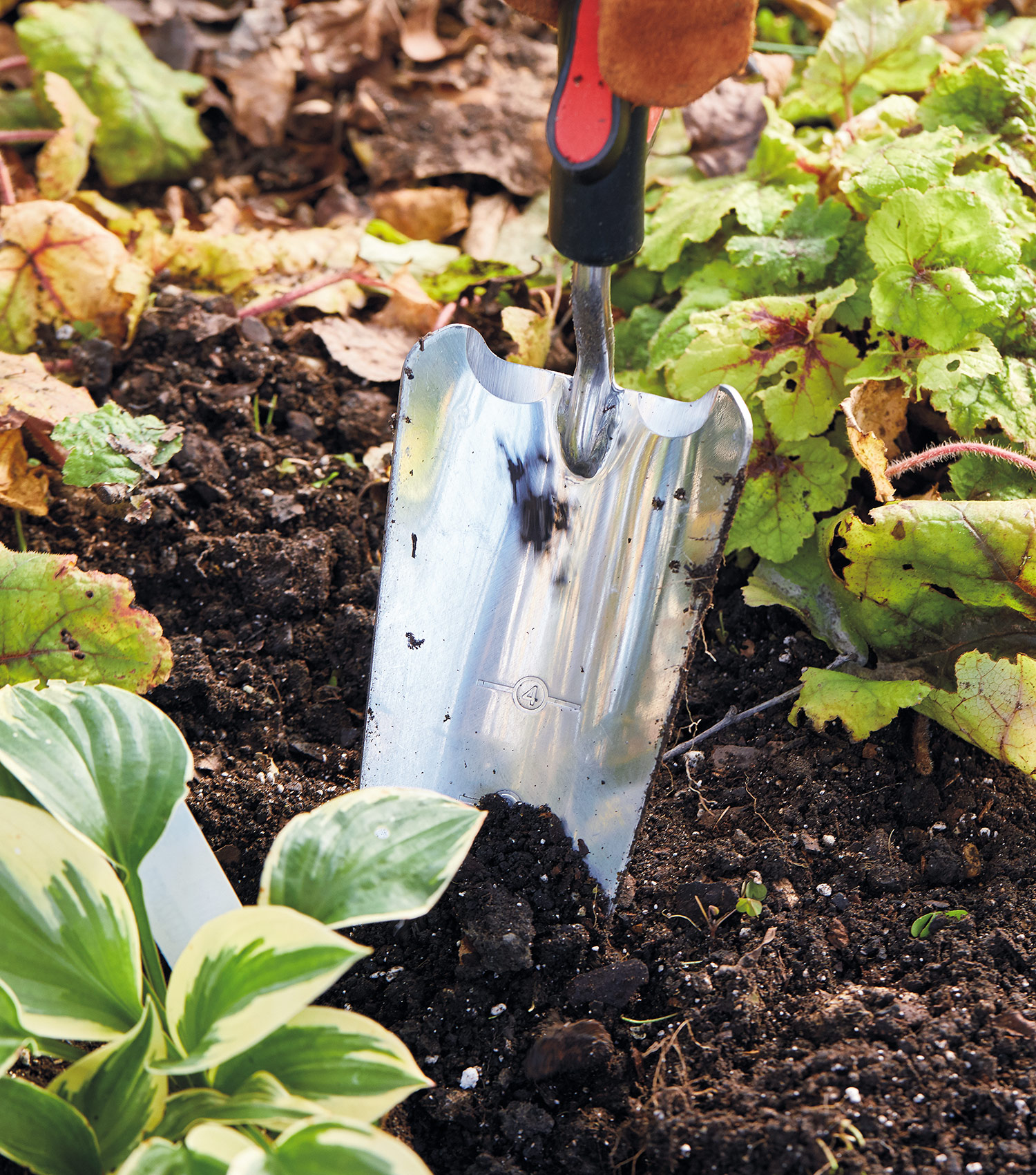garden trowel with engraved depth markers: Look for a garden trowel etched with measurements to help with planting depth.
