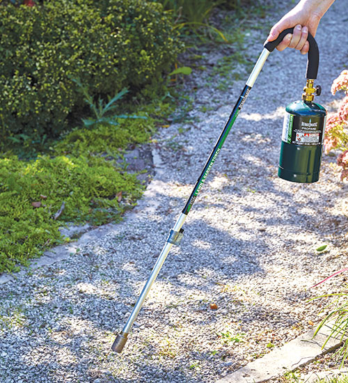 propane flame weeder