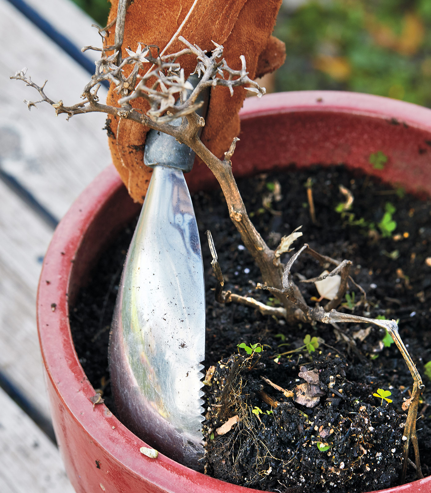 Hand trowels soil scoop: A soil scoop is a must-have tool for container gardeners, making filling pots and backfilling soil around plants a cinch. 