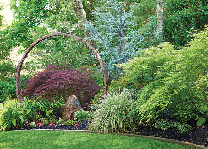 Ruby Andrews arbor and Japanese maples: A circular arch frames the Japanese maple and recirculating fountain in this border perfectly.
