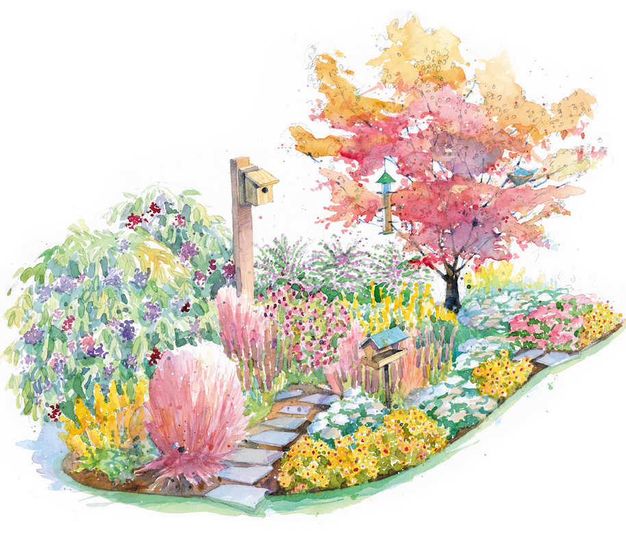 Backyard border for birds garden plan illustration by Gary Palmer: This colorful backyard border for birds provides interest in every season. Illustration by Gary Palmer.