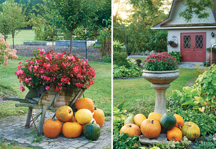 Light Feature Garden fall containers: When it comes to fall decor, the more pumpkins the better! Casual groups of these brightly colored squash attract attention wherever they’re placed.  
