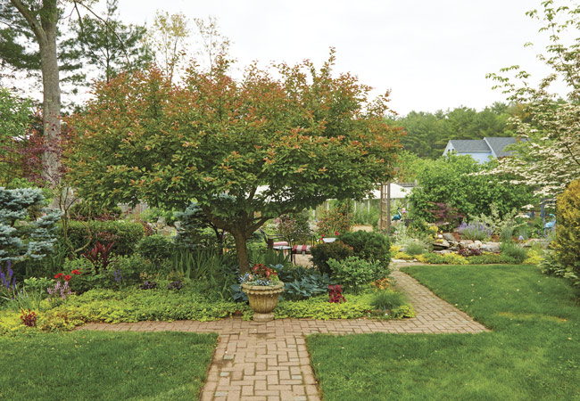 174-FG-reader-garden-winners-crabapple: The 2023 Reader Garden Award Winners' backyard showcases both a centerpiece tree and a destination seating area.