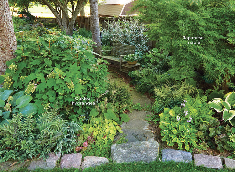 Shady stone path with bench: A well-placed bench along the path offers the perfect spot to pause and interact with your surroundings.