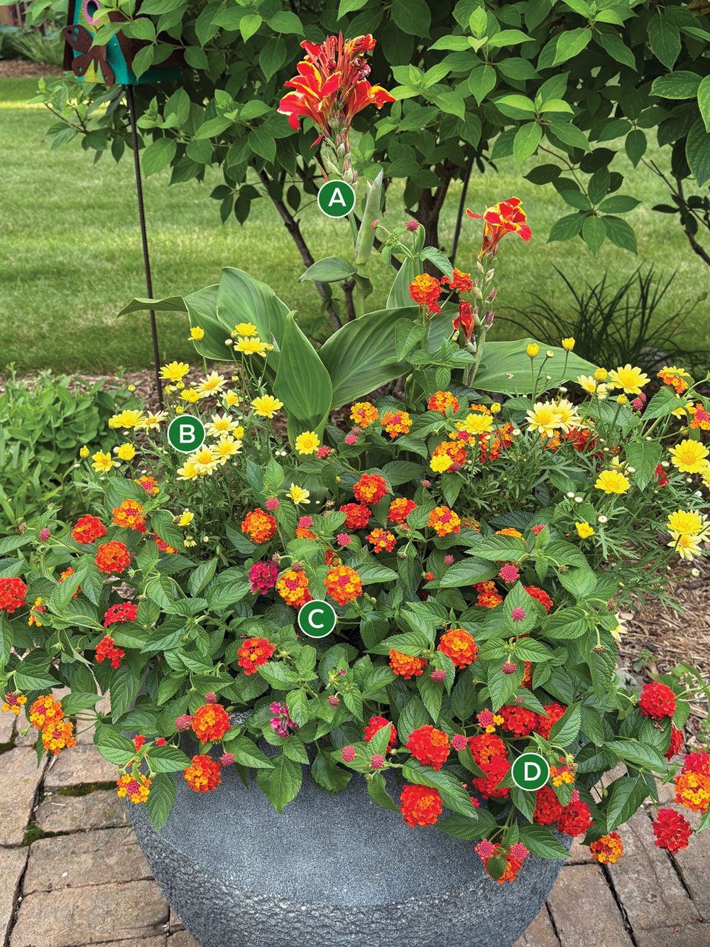 2026 container challenge honorable mention Sue Cashman