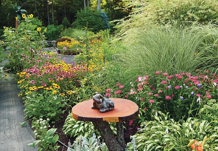 Garden bed with coneflowers and a wooden table with a garden frog statue:  The purple coneflowers (Echinacea purpurea) and gloriosa daisies (Rudbeckia hirta) here are prolific reseeders. 