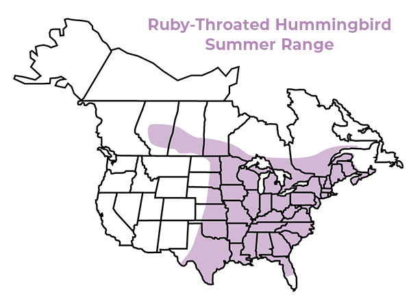 Ruby-throated hummingbird summer range map 2022