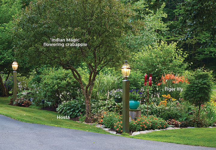 Gagnon garden flowering crabapple: This flowering crabapple tree blooms in spring and in fall its foliage takes on beautiful  color. 