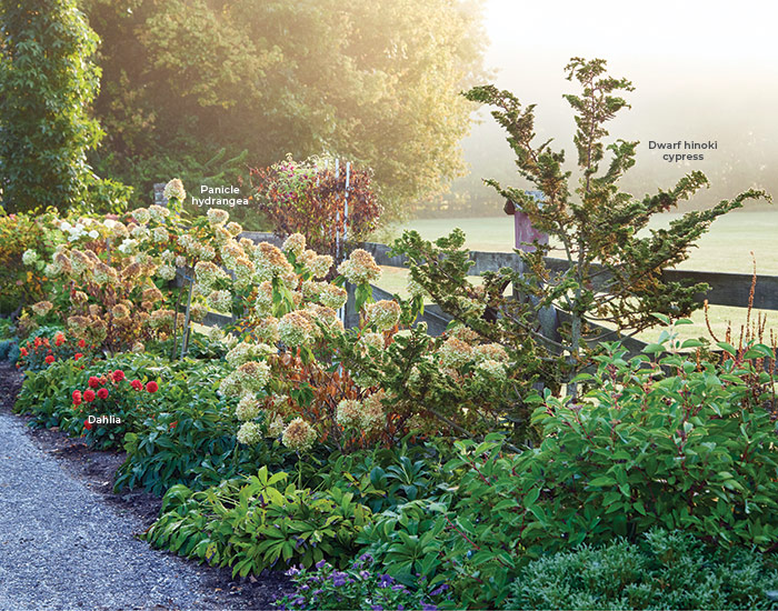 Light Feature garden hydrangea border: This 200 foot long border is now filled with flowers and texture-rich foliage from spring to frost.