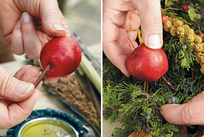 bird-feeding-wreath-skewer-fruit-collage step3: Using a wood floral pick to skewer fruit for your wreath makes it easy to replace fruit when needed.