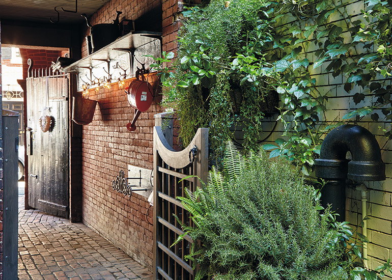 Urban Garden Courtyard doorway: A set of string lights adds charm and brightens the short passageway from the street to the courtyard. 