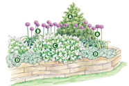 Elegant Spring Garden Bed With Allium Garden Gate