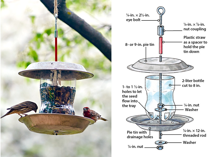 DIY bird feeder with upcycled plastic bottle: Upcycle a plastic bottle into this simple bird feeder.