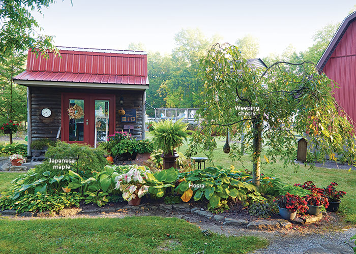 Light Feature Garden island bed and shed: This kidney-shaped bed started as a small circular one. Over time the couple has expanded it to include hostas, a Japanese maple (Acer hybrid) and a weeping cherry (Prunus hybrid), which was one of their first ornamental tree purchases.