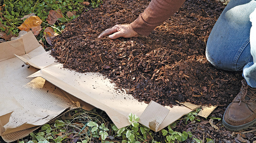 The Best Weed Mats for 2023 - Garden Gate Reviews