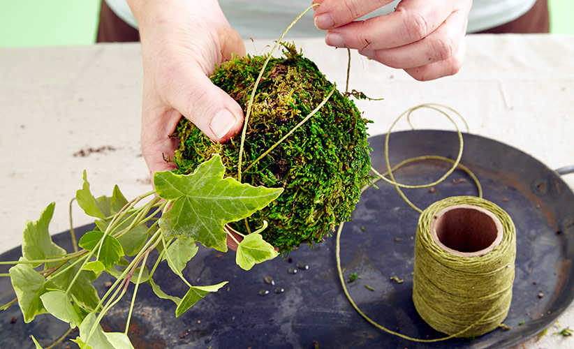 how-to-make-kokedama-wrap-in-twinel:Now it's time to wrap the ball with waxed string or floral wire to keep the moss in place.