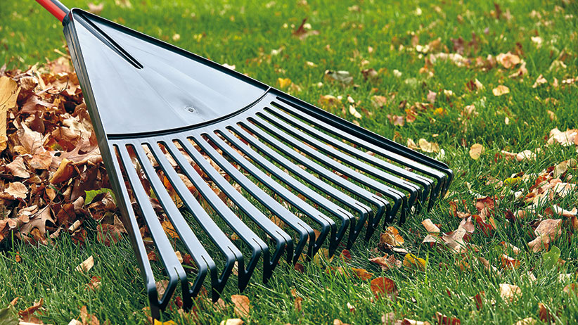 How to choose the right rake | Garden Gate