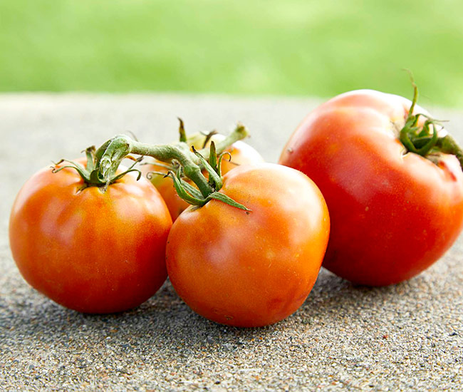 Best Heirloom Tomato Varieties to Grow