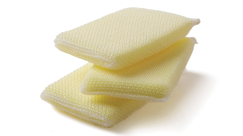 mesh scrubbie tip: Gently scrub off stubborn scale insects with a mesh-covered sponge.
