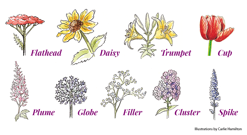 Flower-shapes-illustration-group Carlie-Hamilton-Garden-gate-magazine