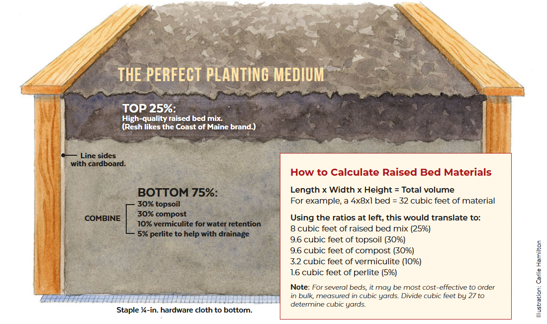 raised garden bed ideal ratios illustration by Carlie Hamilton