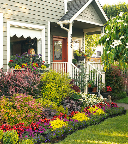 repetition-echos: Repeat plants with the same or similar colors to keep a garden border looking cohesive.