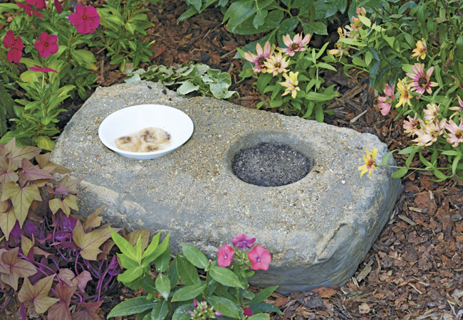 GG168-concrete-bag-project-pollinator-puddler: Keep the wet sand-compost mix in one side and a bowl of overripe fruit in the other. A removable bowl makes it easy to change and clean.