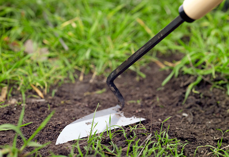 how-to-choose-the-right-garden-hoe-dutch-hand-hoe: Handheld garden hoes are a great option for detail work.