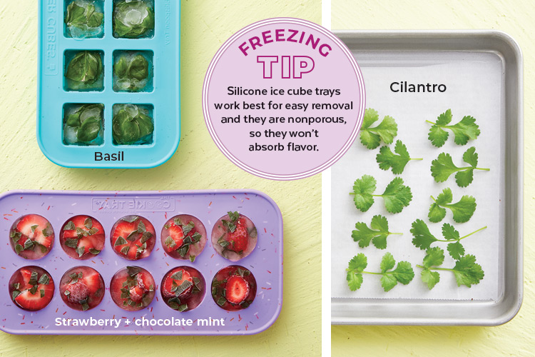 Freezing herbs in ice cube trays and on baking sheets: Freezing fresh garden herbs is a super easy way to preserve them for later!