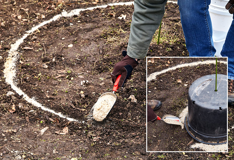 Use sand to mark out the shape of the keyhole garden bed