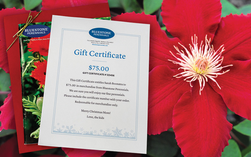 Bluestone Perennials gift certificate